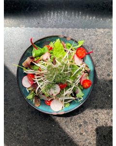 BUNTER SOMMERSALAT